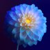 India (@ershad751) Twitter profile photo India (@ershad751) Twitter profile photo