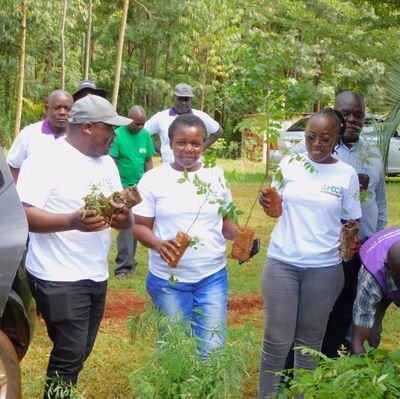CEO at Global Foundation for Climate Change Africa(GFCCA)