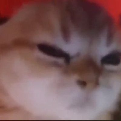 Itsarock21's profile picture. 