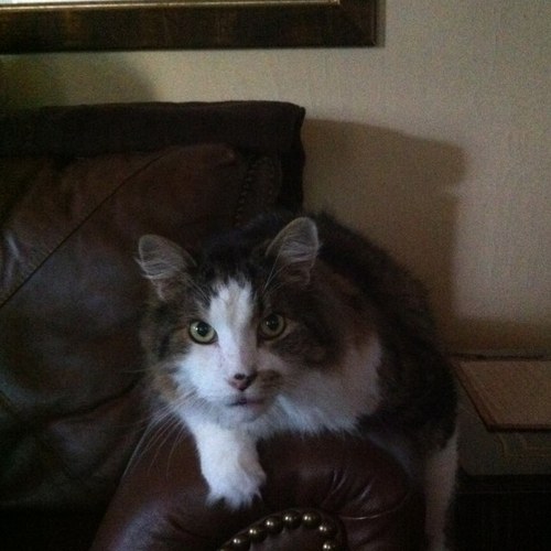 zszs22's profile picture. 