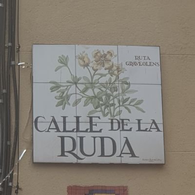 Roja_Escarlata's profile picture. simplemente una mujer!!!!