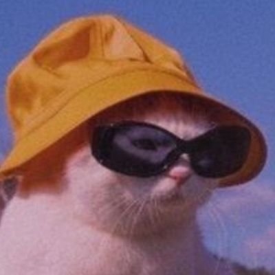 MarcelStpi60684's profile picture. 