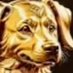Golden Dawg (@goldendawg_) Twitter profile photo Golden Dawg (@goldendawg_) Twitter profile photo