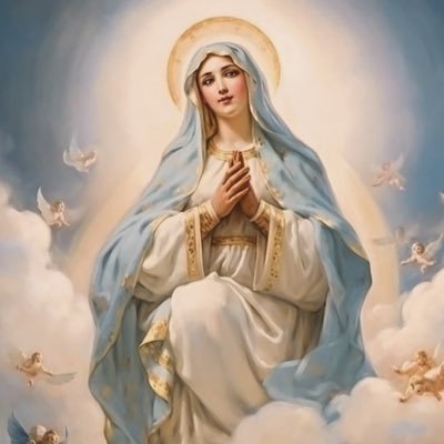 fosado_gomez's profile picture. 
