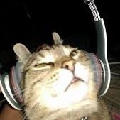 NicoFagerstrom's profile picture. @disruptionarmy