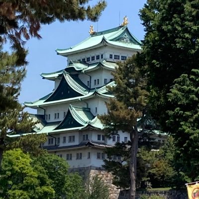 abebeluozuno's profile picture. 