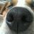 mike_mail_uk's profile image