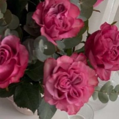 ضَاحِكَةٌ مُّسْتَبْشِرَةٌ 💕