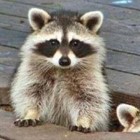 SC (@sc04745867) 's Twitter Profile