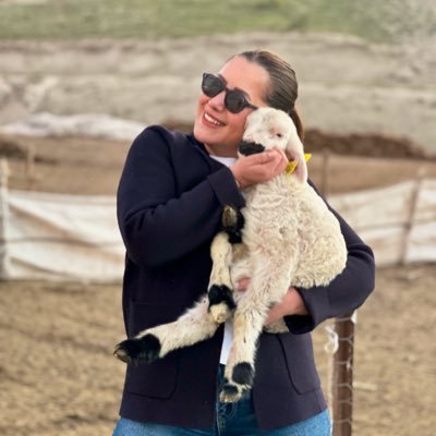 cdmsfr's profile picture. 