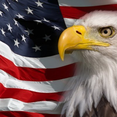 LadyLoveAmerica's profile picture. American wife, mom and grandmom. Believe in our Constitution, Faith and Freedom! MAGA, MAHA, Patriot! 
 🚫DM 🚫Porn