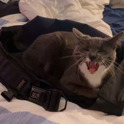 watters_tim's profile picture. 