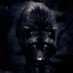 Baki (@baki_ustunbas) Twitter profile photo Baki (@baki_ustunbas) Twitter profile photo