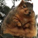 Brendan Philip - @B_BOX - Twitter