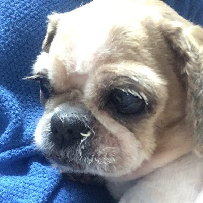 YuMunch's profile picture. 