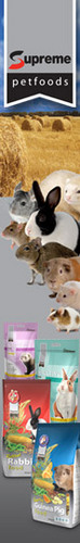 fourpointsac's profile picture. Four points animal club runs 4 shows a year for small animals. Cavy rabbits mice hamster gerbil rats. Shows are held at Grazeley, near