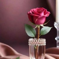 محمد عبده (@fmzxcvg) 's Twitter Profile