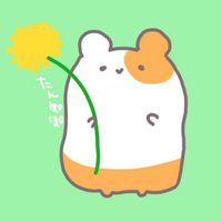 (´･ω･｀)市松たんぽぽ (@itimatutanpopo) Twitter profile photo