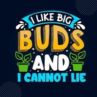 BIG Q BUDS (@bigqbuds) 's Twitter Profile
