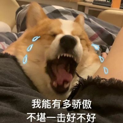 YinLi17357's profile picture. 好像好久没玩了，差点忘记我有来过🌚🌚