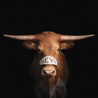 Tina Fields (@t3fields) 's Twitter Profile