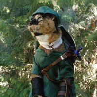 Cat Cosplay (@cat_cosplay) 's Twitter Profile Photo Cat Cosplay (@cat_cosplay) 's Twitter Profile Photo