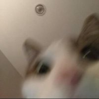 caa (@babycaaaa_) 's Twitter Profile