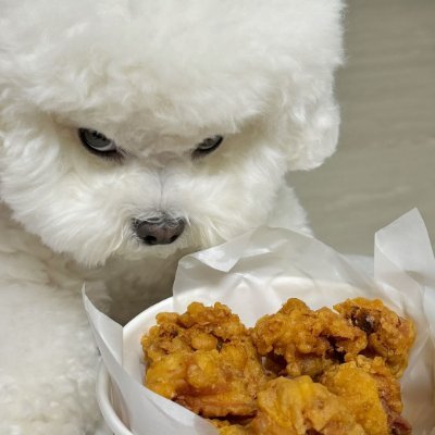 Abnox1ous's profile picture. hi