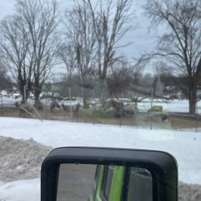 Rpickell65's profile picture. 