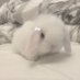 babie (@emm4bb) Twitter profile photo babie (@emm4bb) Twitter profile photo