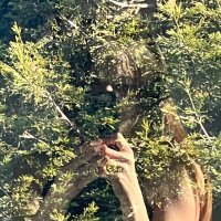 Markie Wagner (@markiewagner) 's Twitter Profile