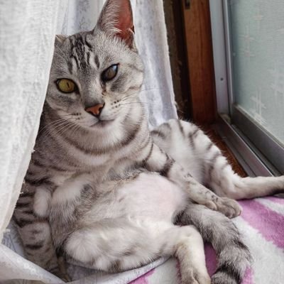 oryuryu_daifuku's profile picture. イカネーム「だてんしおりゅりゅ」モンハンライズは「おりゅりゅ」でやってます(๑•̀ㅁ•́๑)✧🤣日中は鬼ナース、なのに娘のなーさんには激甘🥳115回リベンジ組‼️准看護師歴がまた１年のびちまったぜぃ😇
ぬっことゲームと車を愛するシンママじゃいヽ(=´▽`=)ﾉ