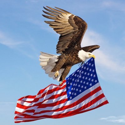 ❤️🤍💙🇺🇸🦅🗽Love my family, country, good people, animals. Save & protect the children. Thank you military & LEO’s!! WWG1WGA MAGA MAHA 🇺🇸1st 1A 2A No DMs