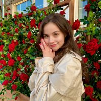 Mockingjay (@mocking54439714) 's Twitter Profile