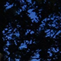 Nigel Barto (@nigelbarto) 's Twitter Profile