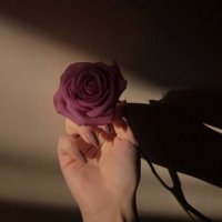 هلاليه 🤍💙.. (@alopi771) 's Twitter Profile Photo هلاليه 🤍💙.. (@alopi771) 's Twitter Profile Photo