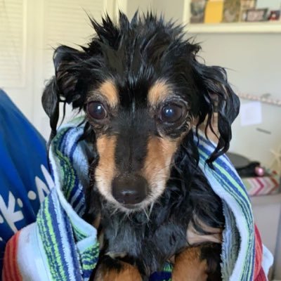 _itstrix_'s profile picture. rocket league @floridastate