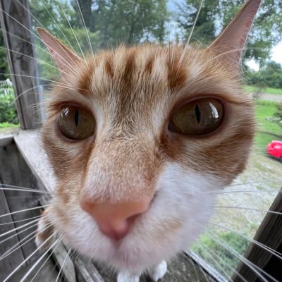 Not_Joel's profile picture. Lover of music, games, film, and nature