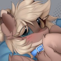 Amyquel NSFW (@notmuskatico) 's Twitter Profile Photo Amyquel NSFW (@notmuskatico) 's Twitter Profile Photo