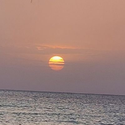 NICOY1UNRULY's profile picture. 