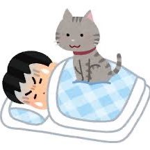 目民し)太郎さんのプロフィール画像