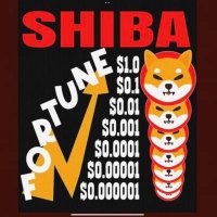 MOZART (@mozart679911) 's Twitter Profile