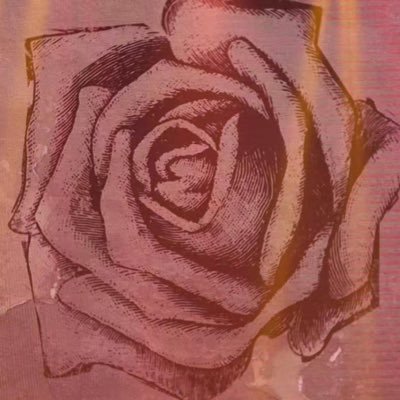 YL048513's profile picture. 