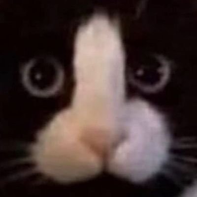 RagnarRsvp's profile picture. Om Om Alter - Top 🔝