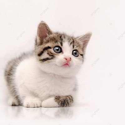 bunbunhashiru22's profile picture. 福山・尾道で風俗店のスタッフ・送迎やってます😊
キャストさん👧を早く安全にデリバリー🚗💨
そろそろサイクリング🚴‍♀️に挑戦しようと思いつつ、ラーメン🍜ばっかり食べてるダメな奴です🥺
同業者さん、無言フォローすいません🙏