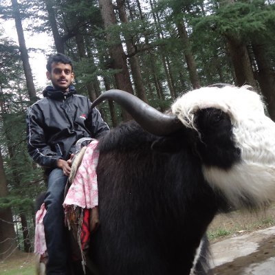 harshinkamal's profile picture. Malayali / മലയാളി
PhD at @FIU Miami