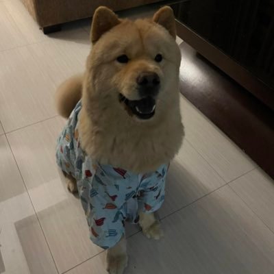 AminuRcade98742's profile picture. 