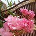 Ananya. (@ananya__jaiswal) Twitter profile photo Ananya. (@ananya__jaiswal) Twitter profile photo
