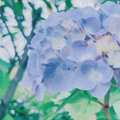 toyoru_0828's profile picture. 趣味で写真を撮っている学生です。