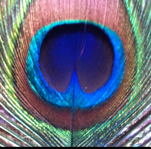 Mulene_'s profile picture. 